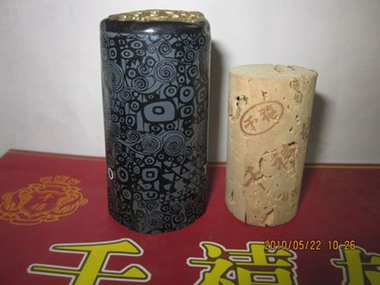 20106111723520.jpg